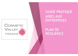 Guide pratique aides aux entreprises - Plan de résilience - mai 2022