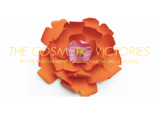 10 000€ à gagner grâce au concours international THE COSMETIC VICTORIES